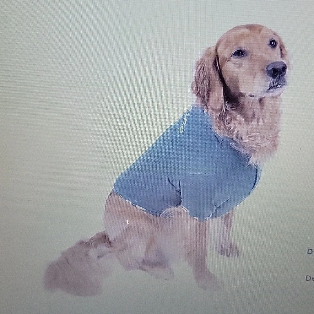 PajamaGram teal puppaccino dog pet pajama snap front graphic tee shirt XL New…